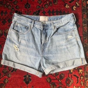 Everlane denim shorts NWOT